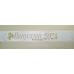 Стрічка “Віпускник 9-го класу“ айворі атласна з роком Стрічка “Віпускник 9-го класу“ айворі атласна з роком